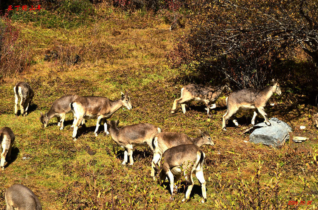 dsc_1569.jpg