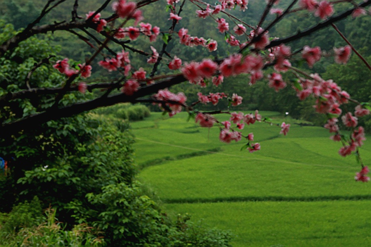 img_7428_副本.jpg