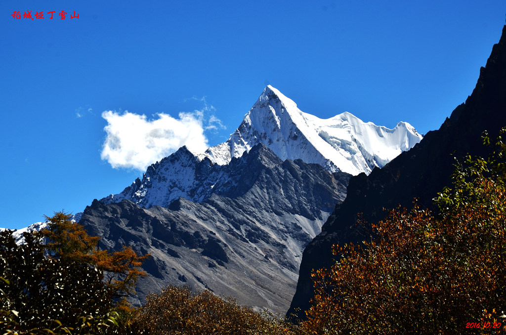 dsc_1070.jpg