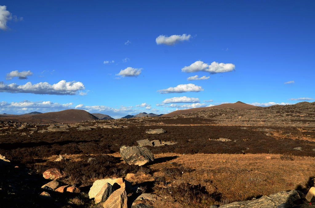 dsc_1019.jpg