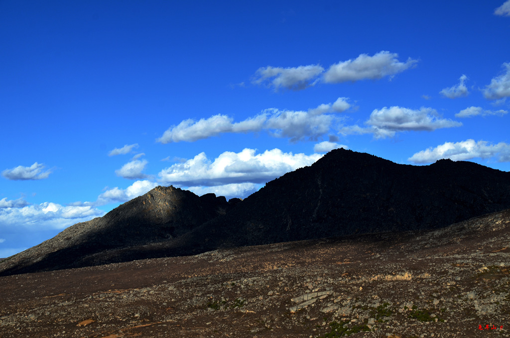 dsc_0970.jpg
