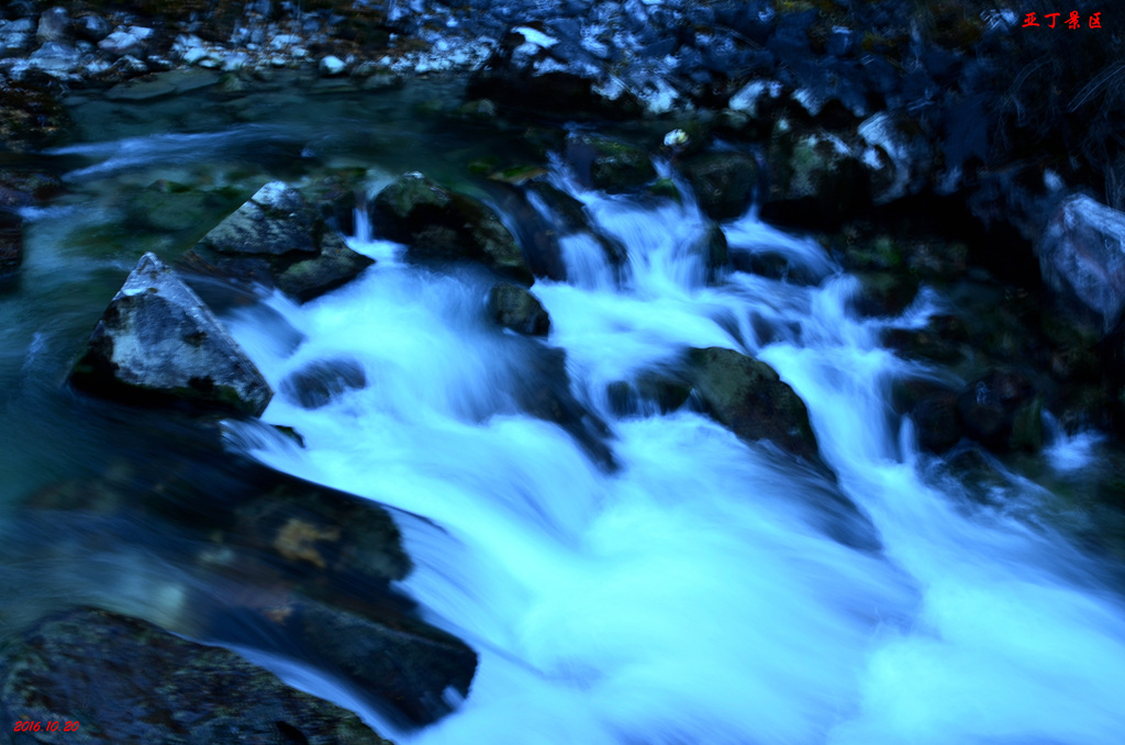 dsc_1398.jpg