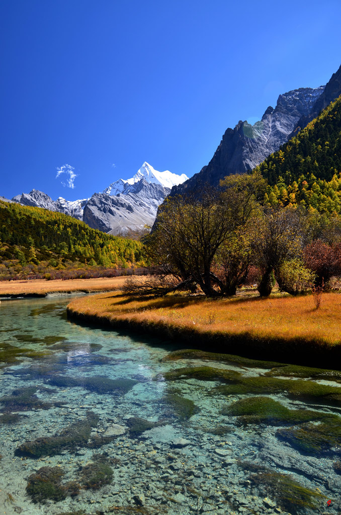 dsc_1134.jpg