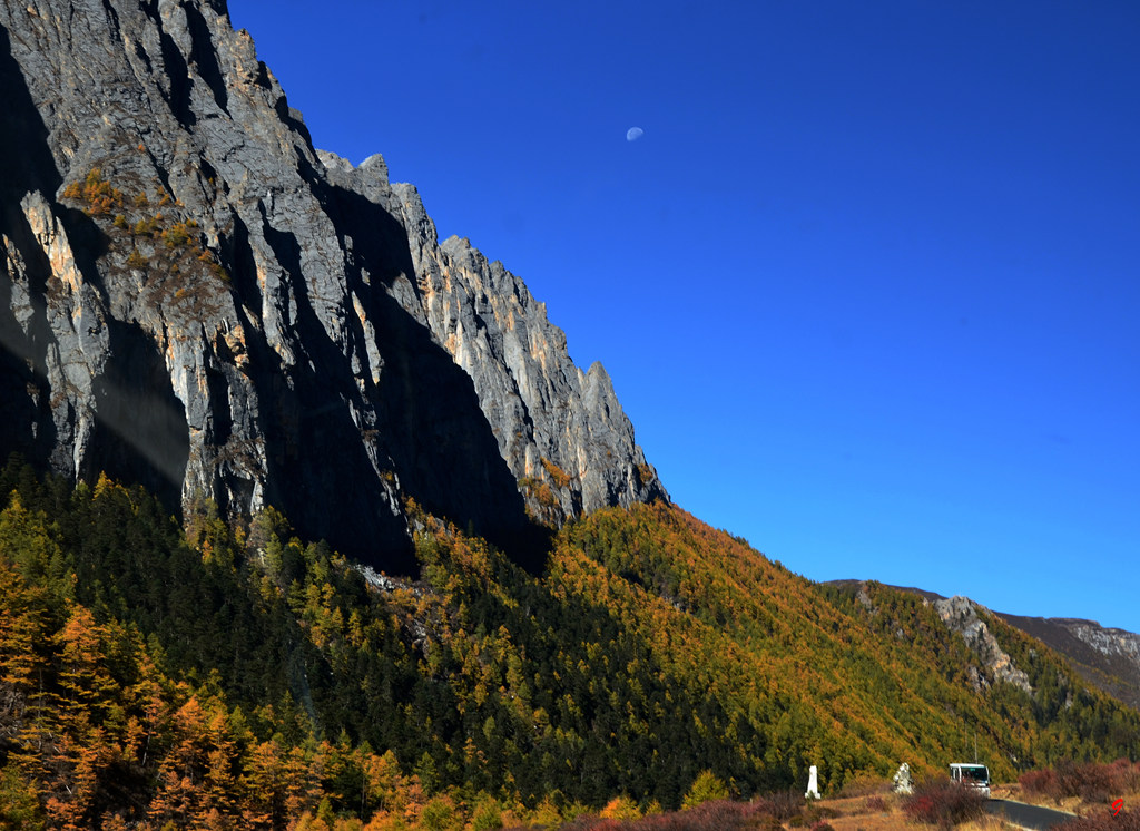 dsc_1594.jpg