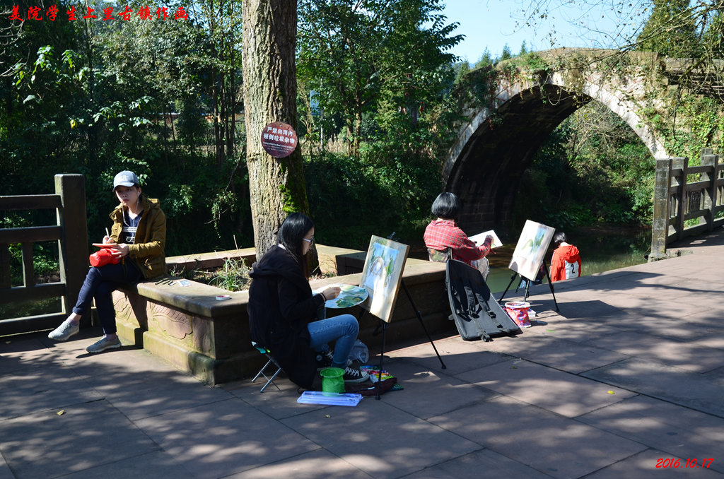 dsc_0331.jpg