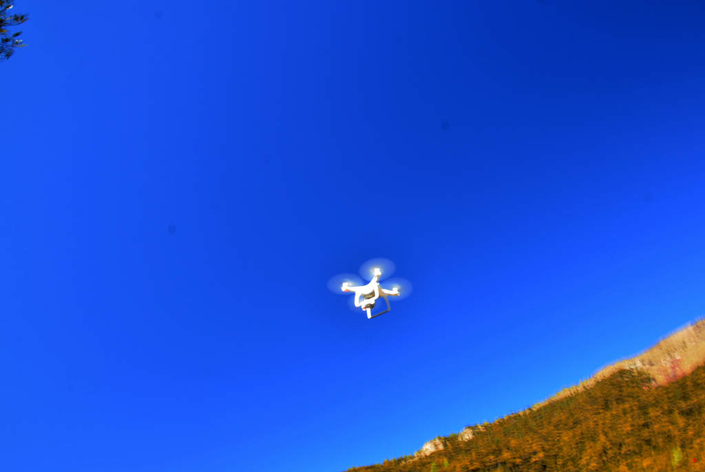 dsc_1234.jpg