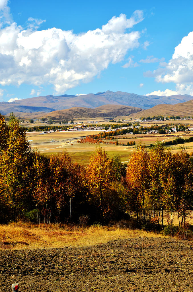 dsc_1900.jpg