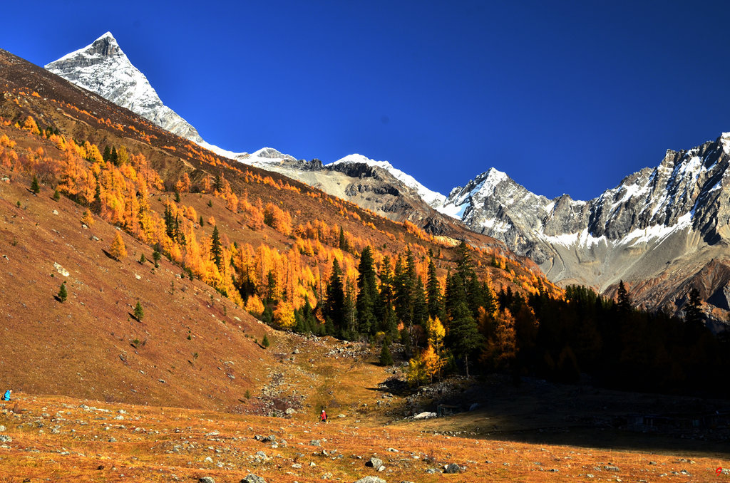 dsc_2312.jpg