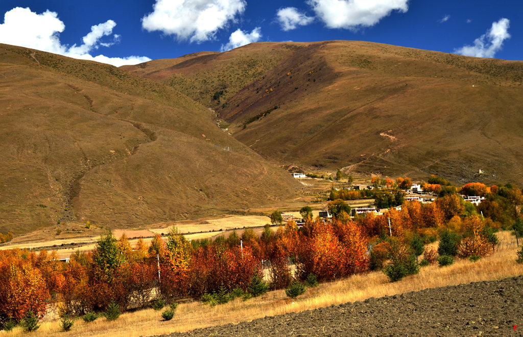 dsc_1902.jpg