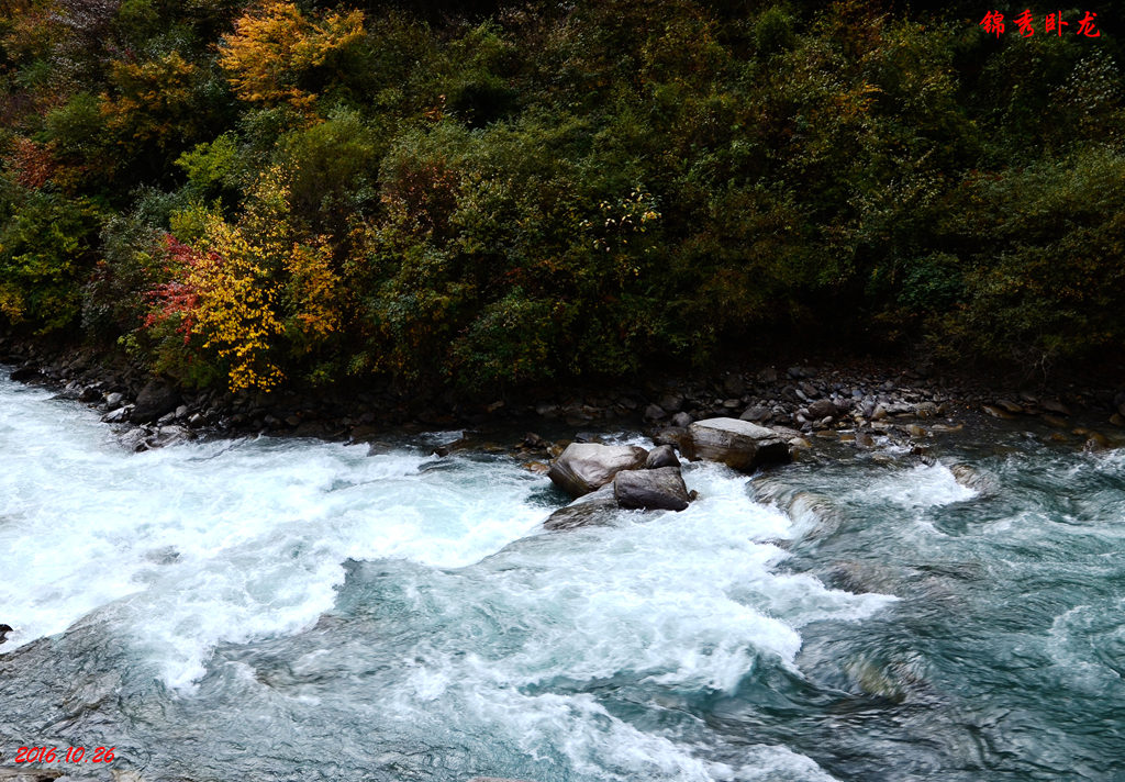 dsc_2863.jpg