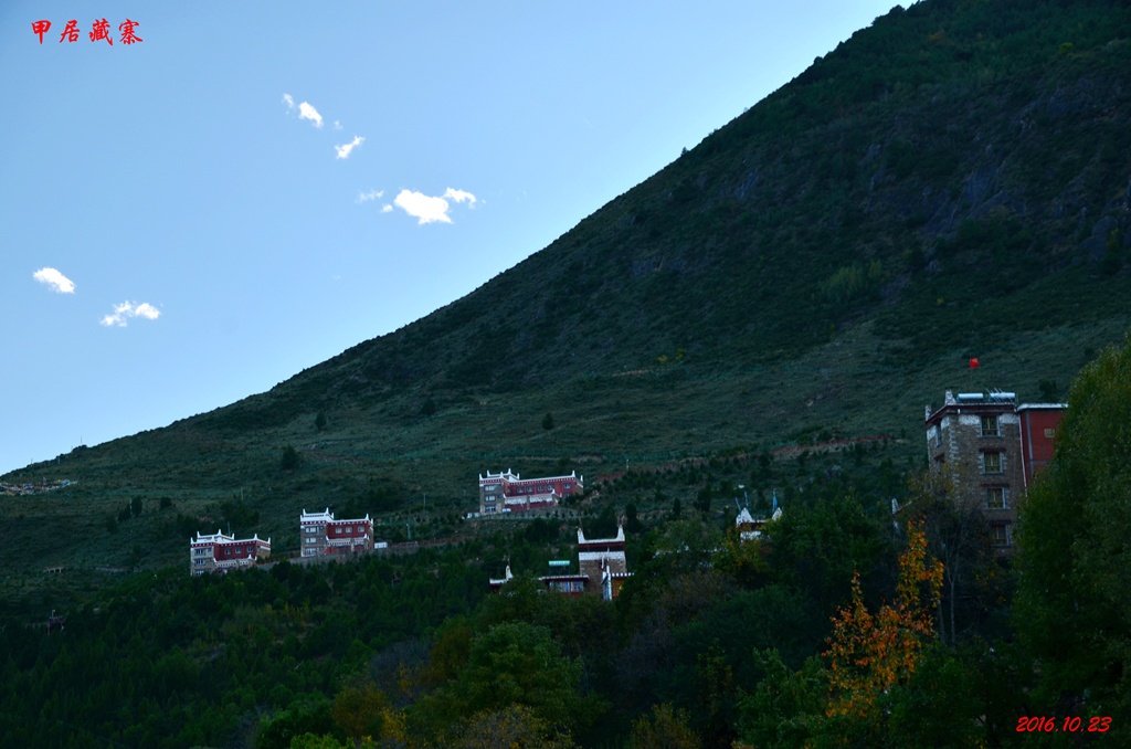 dsc_2043.jpg