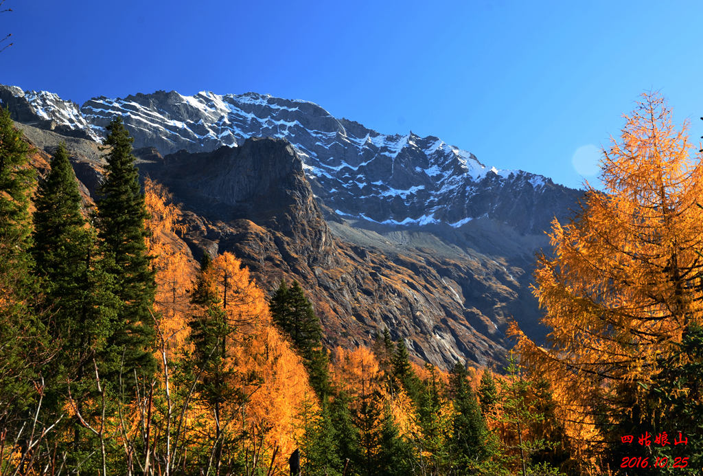 dsc_2280.jpg