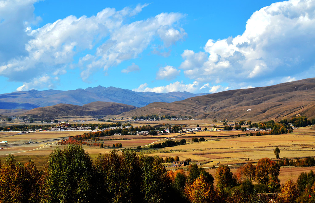 dsc_1917.jpg