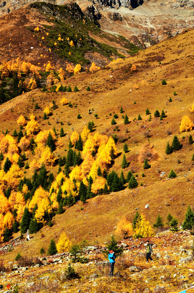 dsc_2326.jpg