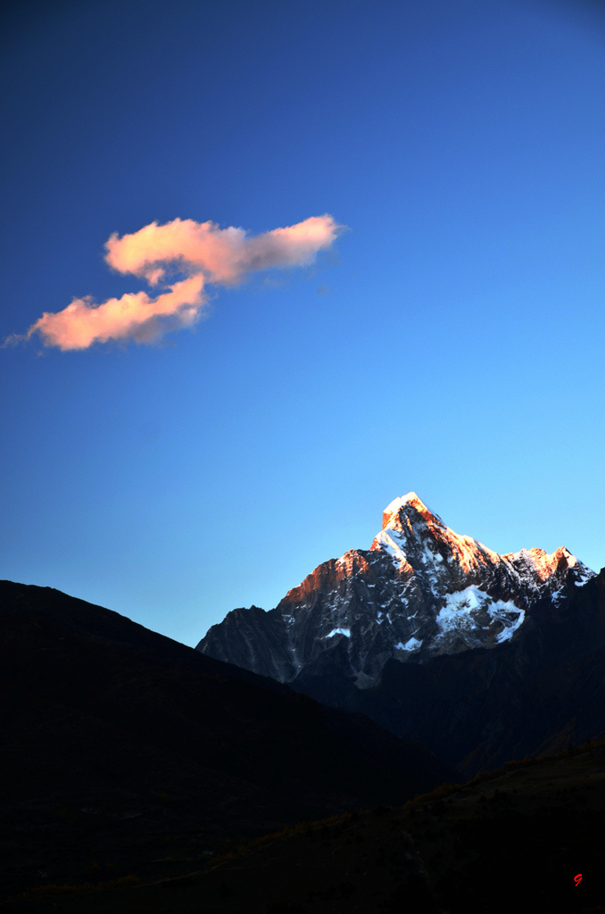 dsc_2766.jpg