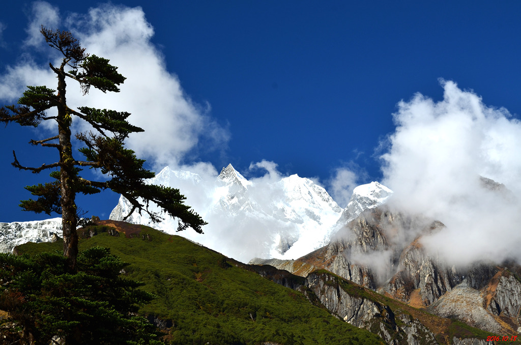 dsc_0662.jpg