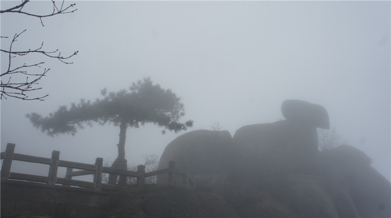 dsc06956_.jpg