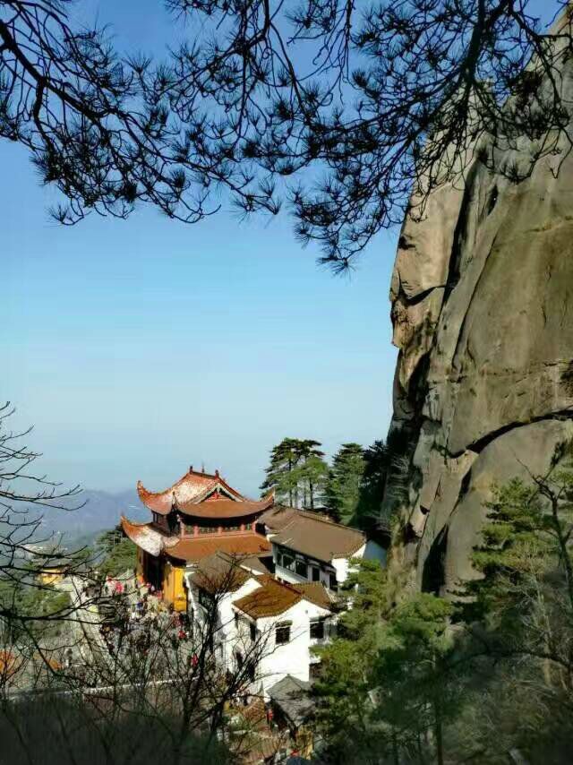 qq图片20170222100632.jpg