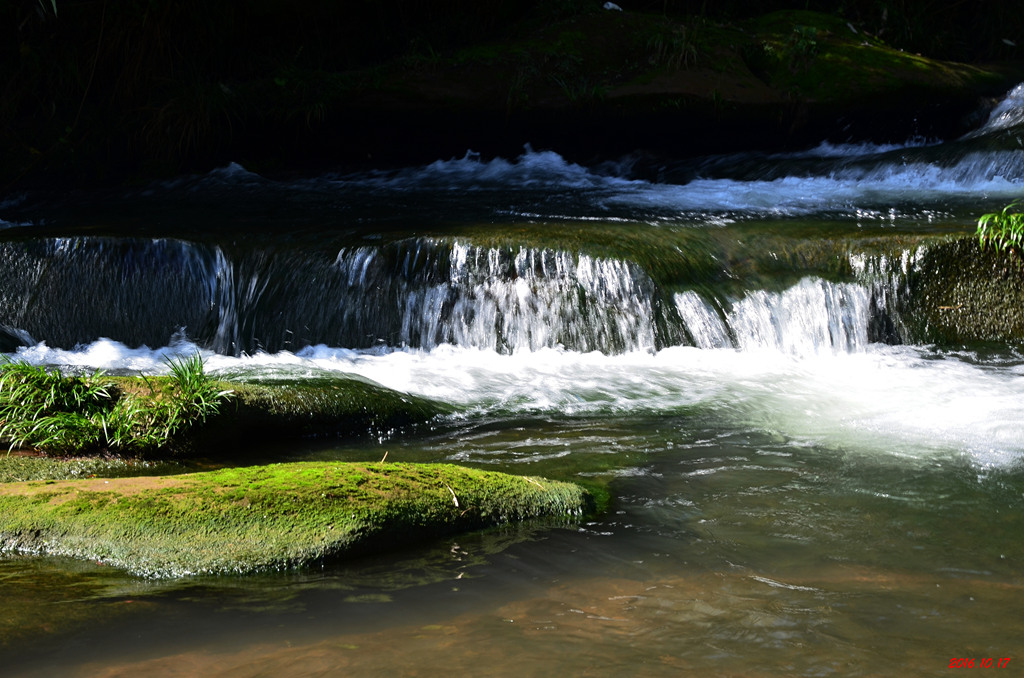 dsc_0307.jpg