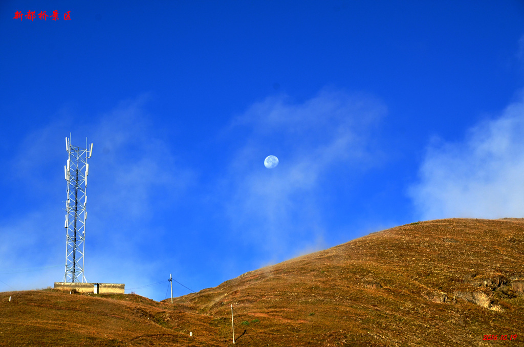 dsc_0854.jpg