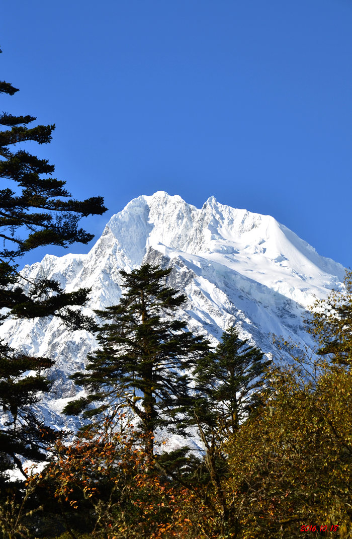 dsc_0464.jpg