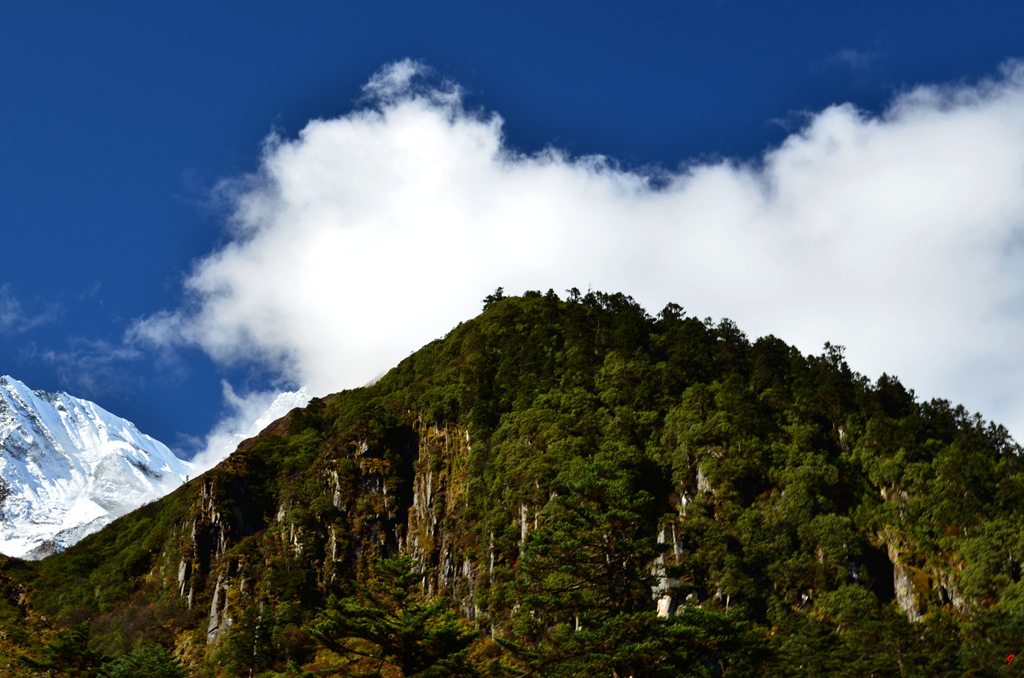 dsc_0614.jpg