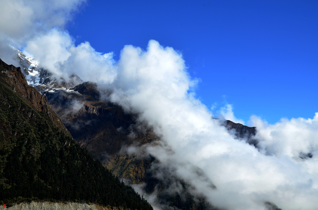 dsc_0667.jpg