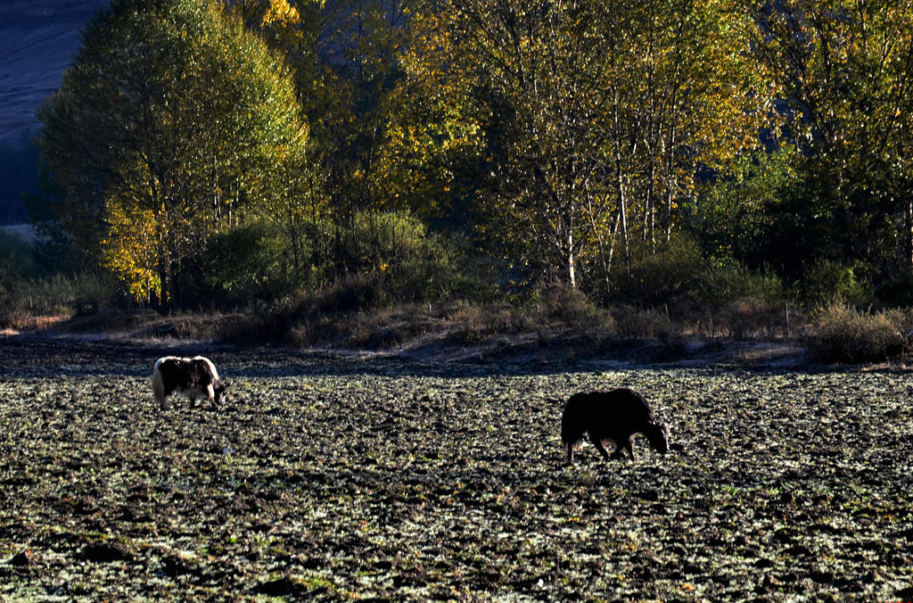 dsc_0880.jpg