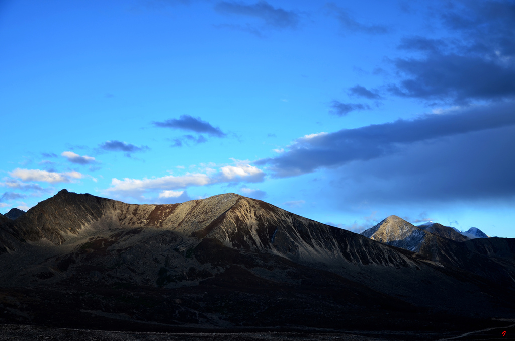 dsc_0817.jpg