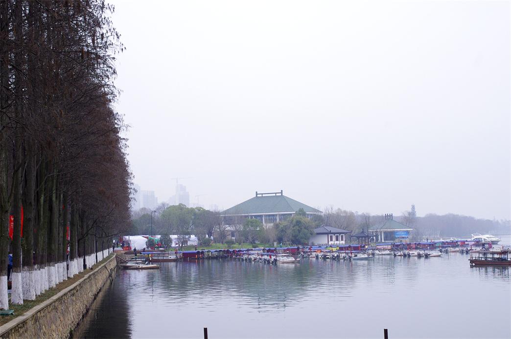 _igp9442.jpg