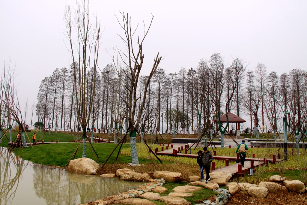 dlt 083_.jpg