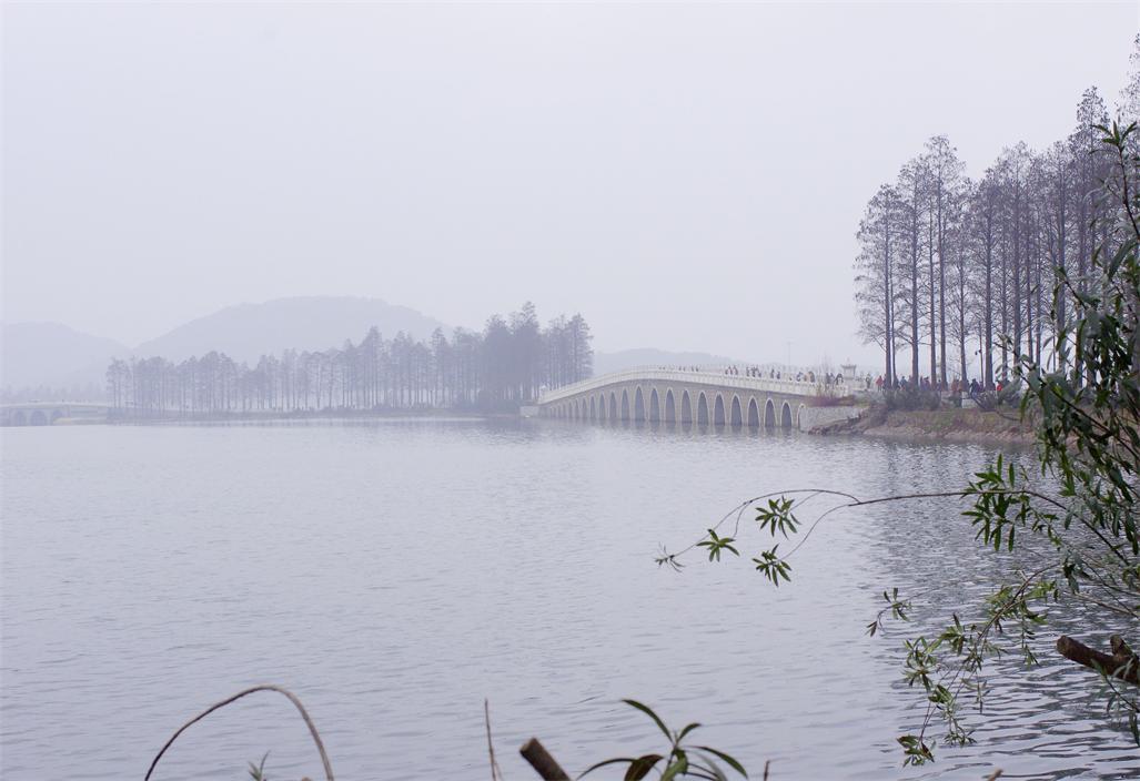 _igp9537.jpg