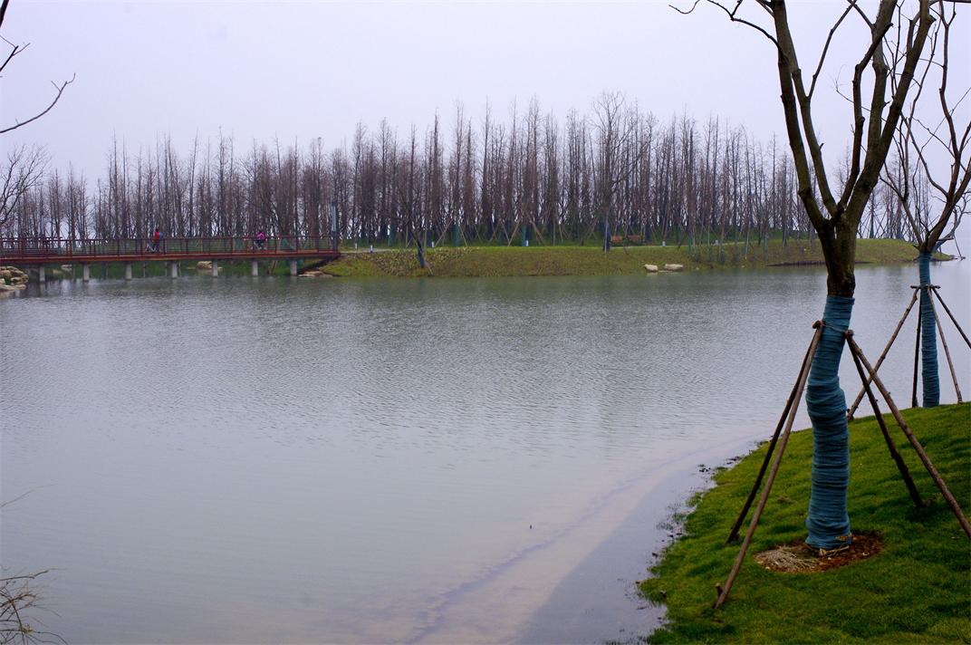 _igp9524.jpg