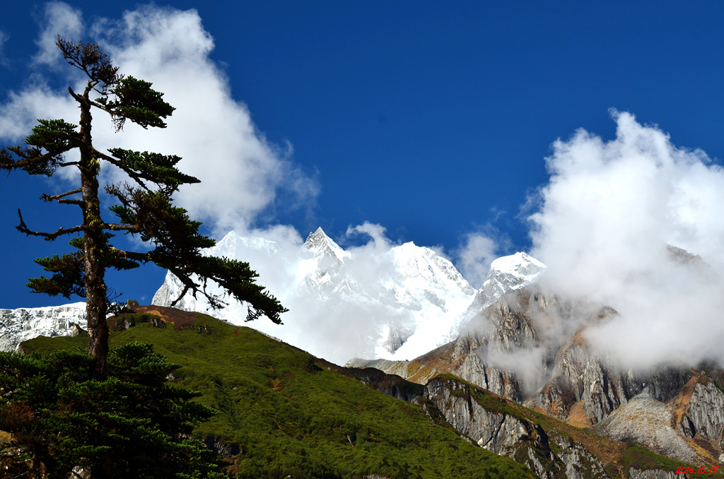 dsc_0662.jpg