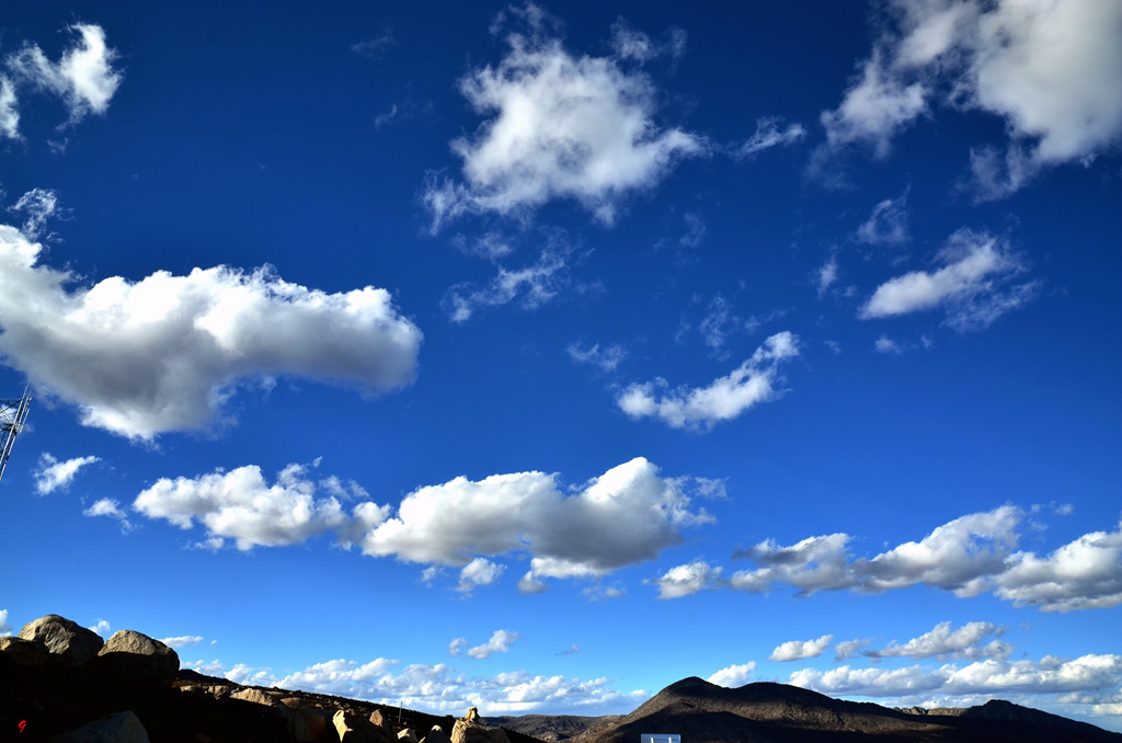 dsc_0991.jpg