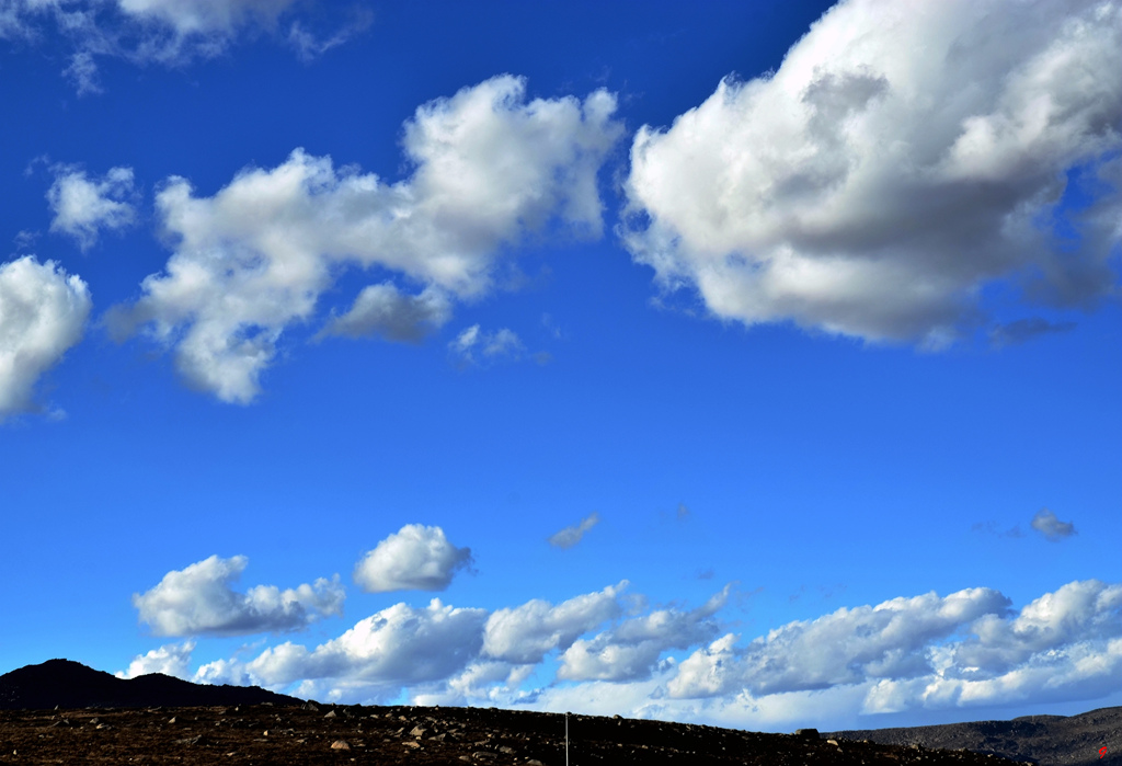 dsc_0977.jpg