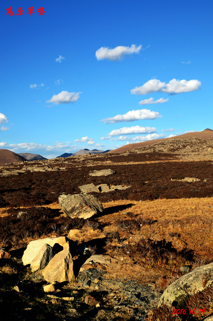 dsc_1020.jpg