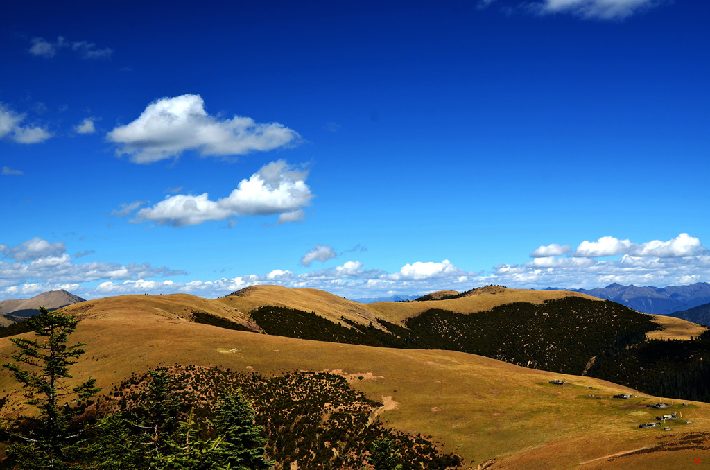 dsc_0929.jpg