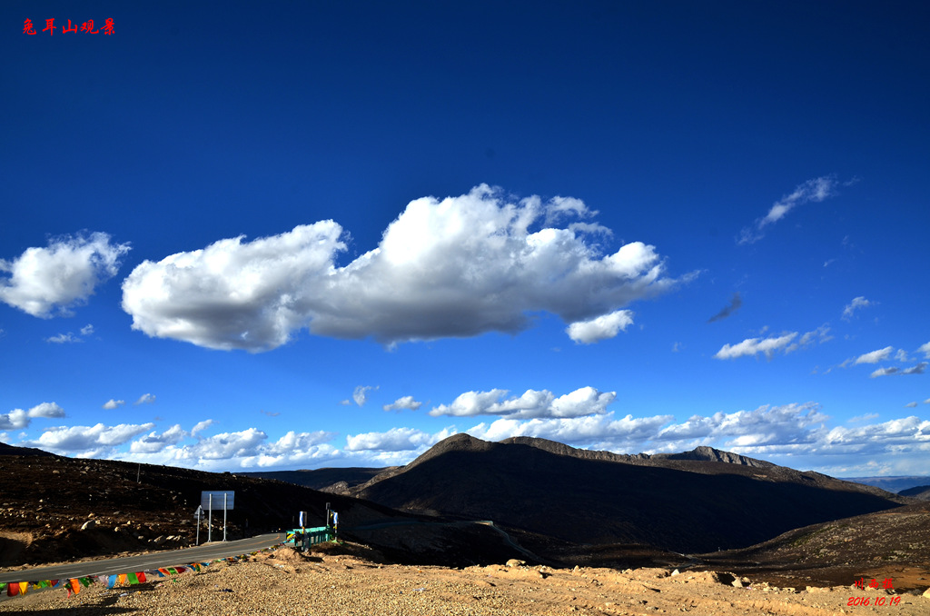 dsc_0967.jpg