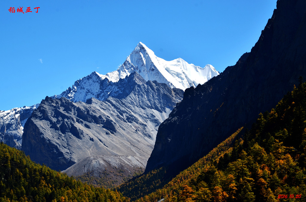 dsc_1089.jpg
