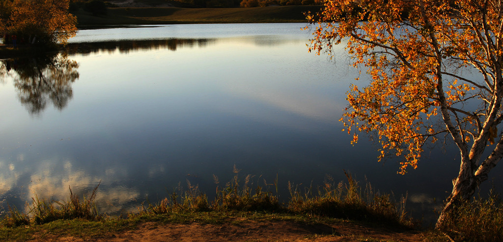 img_7754__.jpg