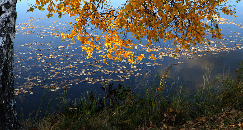 img_7767__.jpg