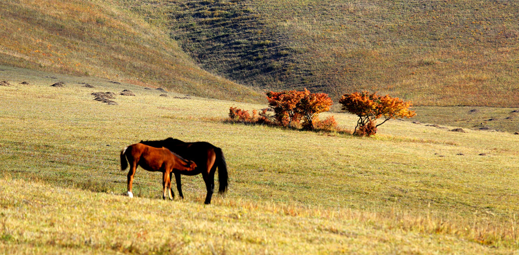 img_7941__.jpg
