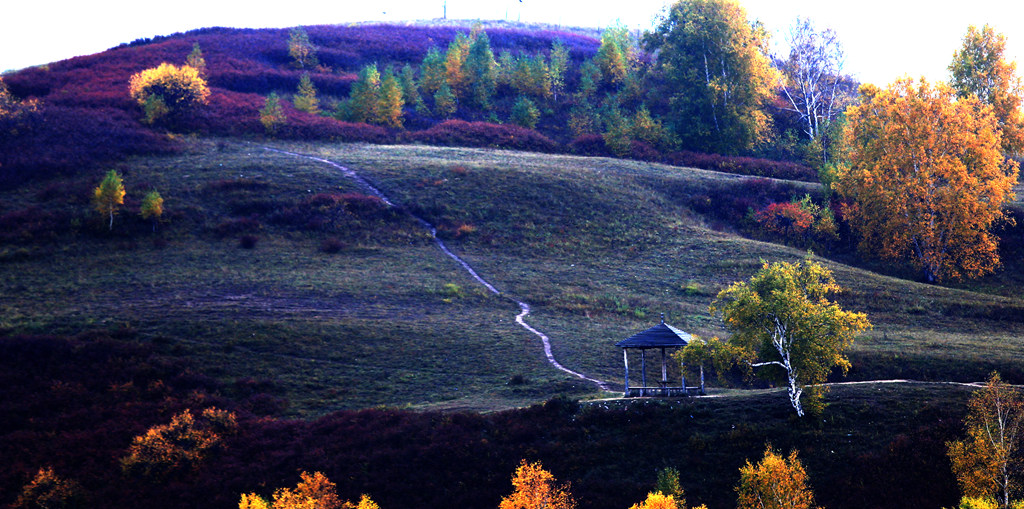 img_8638__.jpg