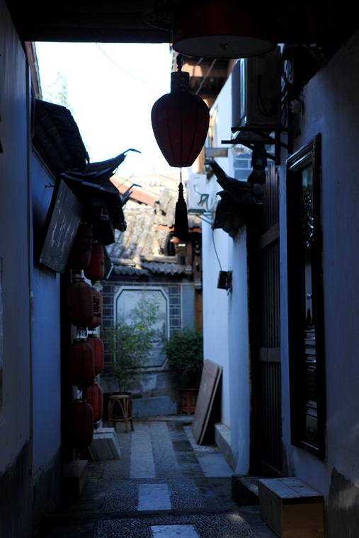 img_8554_.jpg