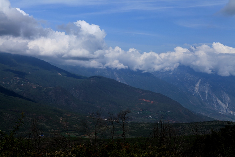 img_8579_.jpg
