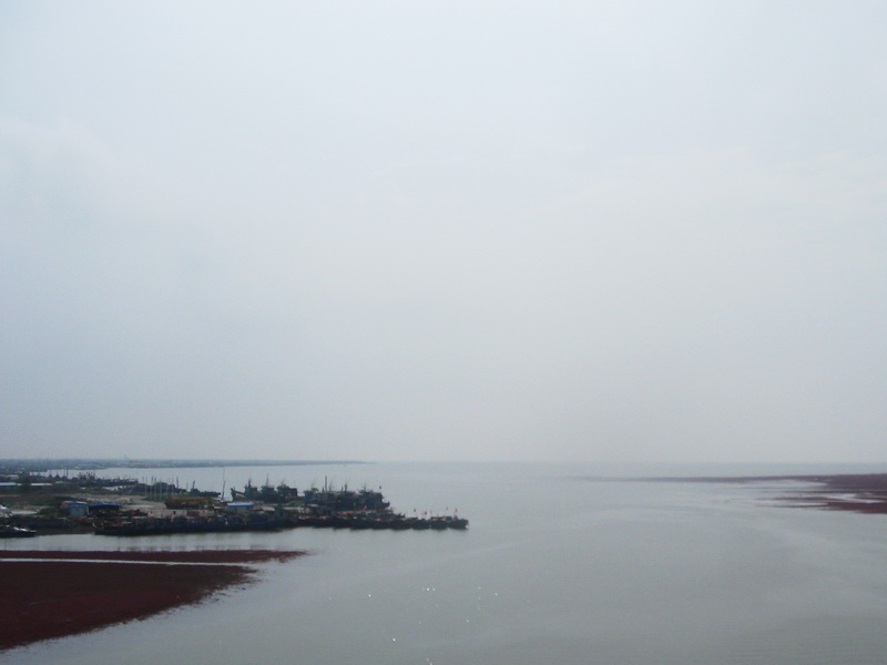 dscf0135.jpg