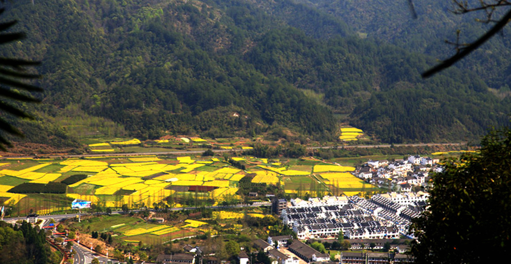 img_0082_副本_副本.jpg