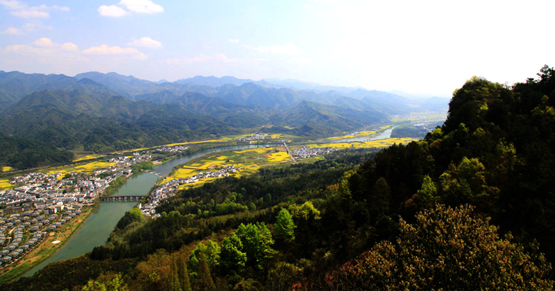 img_0087_副本_副本.jpg