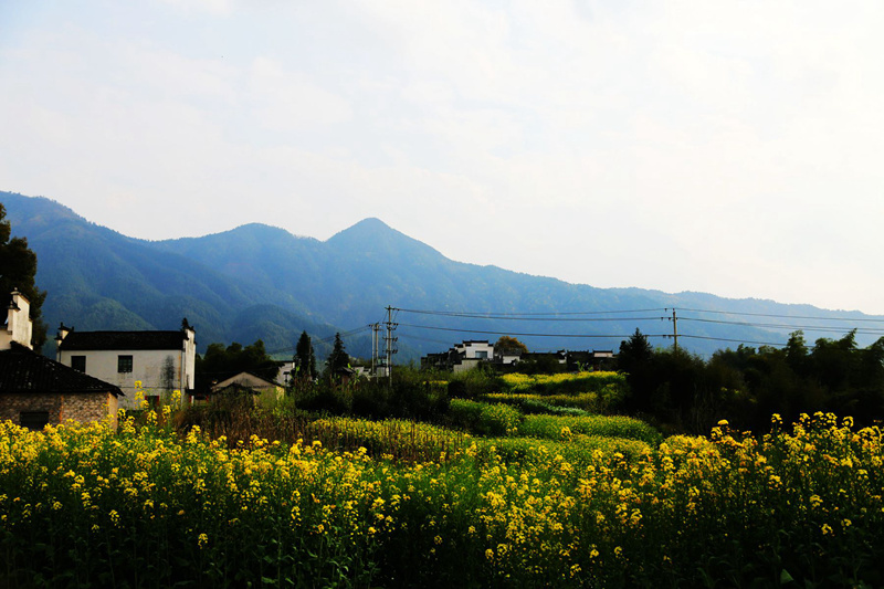 img_9896_副本_副本.jpg